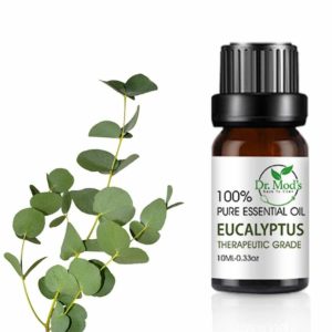 Dr Mod's Eucalyptus Essential Oil For Aromatherapy