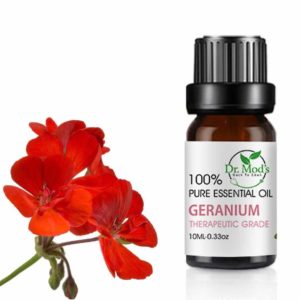 Dr Mod's Geranium Essential Oil For Aromatherapy