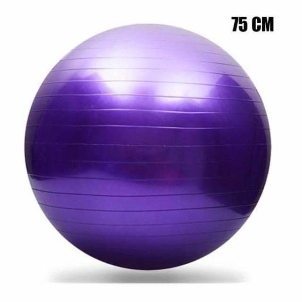 Fitness Balance Midwifery Inflatable PVC Ball